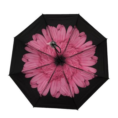 China Summer Rose Red Flowering 5 Folding Folding Super Tiny Anti-UV Lady Umbrella Travel for sale