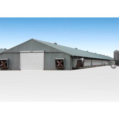 China Farm Laid Prefab Steel Structure Poultry Farms For Sale In Georgia for sale