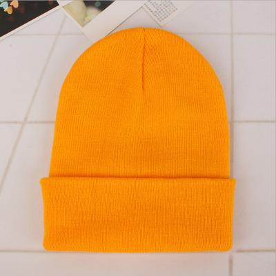 China JOINT Logo Winter Knit Hat Cuffed Custom Skull Cap For Fishing Running Hiking Trekking Running Thermal Watch Hat for sale