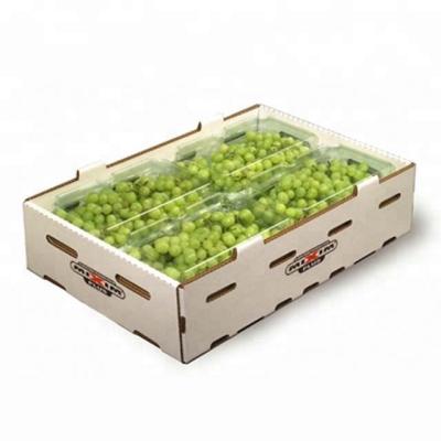 China Recyclable Cardboard Packaging Company Export Fruit Box for sale