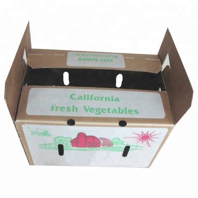 China Farm Fresh Produce Recyclable Stronger Paper Packaging Double Layer Cardboard Box for sale