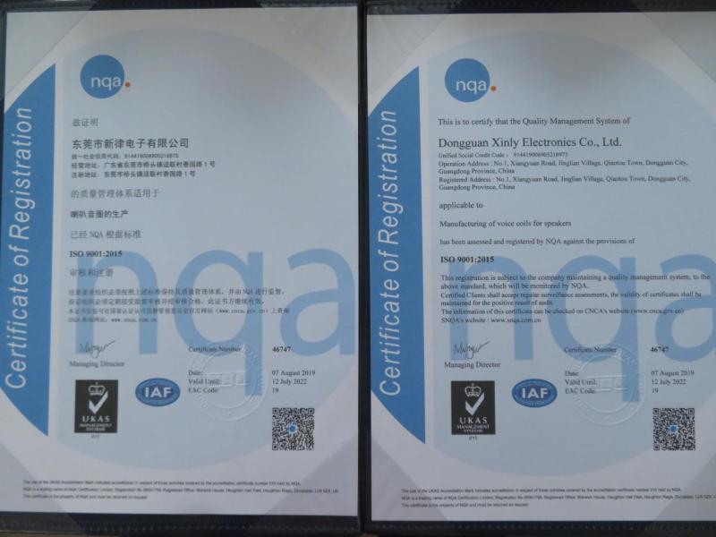 ISO9001 - Dongguan Xinlv Electronics Co., Ltd.