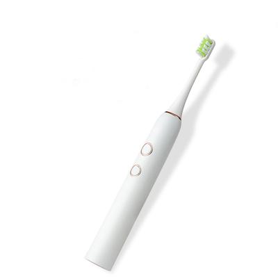 China High quanlity Sonic Toothbrush IPX7 Battery Operated Waterproof Rechargeable Electric Toothbrush For Home USE for sale