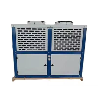 China Bitzer Box Type Freezer Room air cooled Condensing Unit Strong Galvanized Steel Casing r22/r404a/r407f en venta