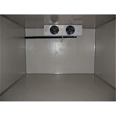 China Quick Freeze Walk In Cold Rooms Safety Fresh Keeping Small Freezer Room for sale