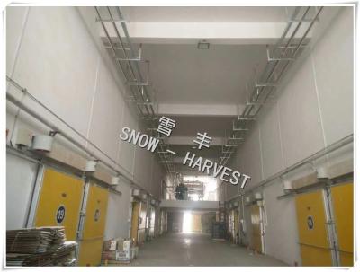 China Commercial Logistics Cold Storage Environmental Friendly Freezer Cool Room for sale