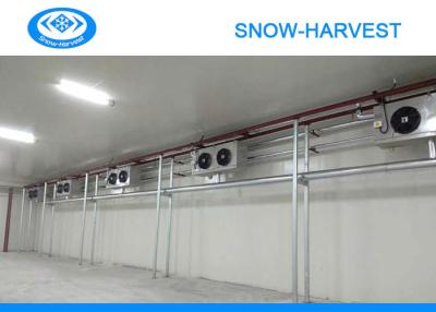 China Automatic Control Vegetable Cold Storage Room Great Water Absorption for sale