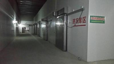 China Pu-het Sandwichcomité prefabriceerde Koude Zaal die pre Sectioneel Deurtype koelen Te koop