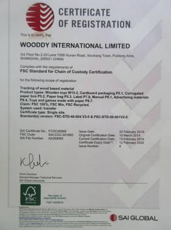 FSC - Wooddy International Limited