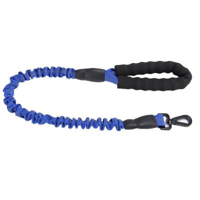 China 2021 Latest Models Viable Dog Leash And Harness Dog Leash And Nylon Dog Collar With Metal Chain for sale