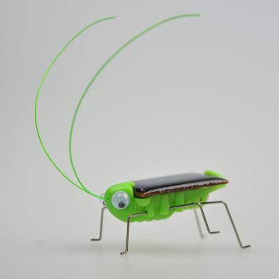 China Promotion Gift New Arrival 1V 70mAh Grasshopper Cockroach Funny Solar Powered Car Toys For Kids for sale