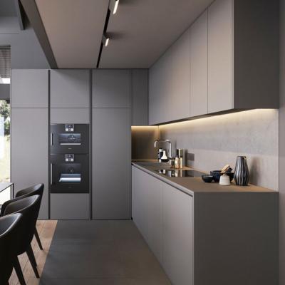 China Eco - Friendly Custom Make High Gloss Gray Lacquer Kitchen Pantry for sale