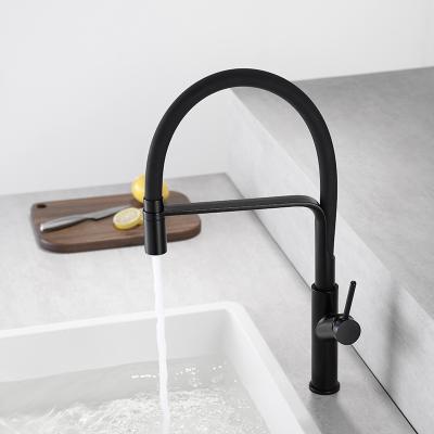 China Modern Stainless Steel Cold Water Sink Faucet For Pull Out Kitchen Faucet Faucets Pull Down for sale