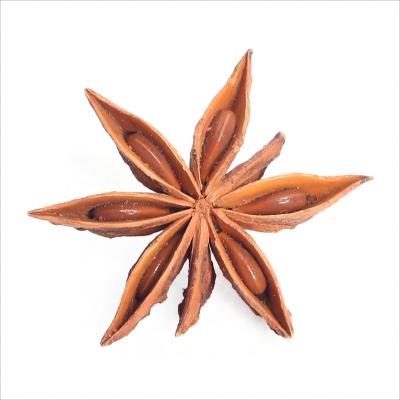 China Dried Wholesale price of spice top quality star anise natural dried whole Dried Guangxi organic Star Anise seeds for sale