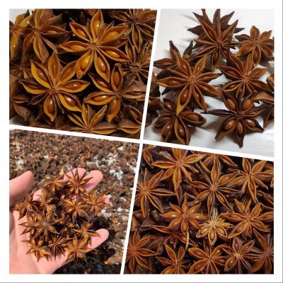 China Dried Wholesale Guangxi spice top quality star anise place of origin anise seeds natural dried whole Dried organic Star Aniseed for sale