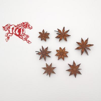 China Dried Wholesale place of origin spice top quality Of natural dried whole Dried organic Star Anise seeds for cooking for sale