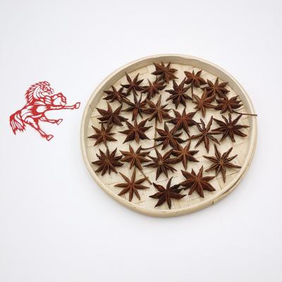 China Dried Wholesale price of Guangxi spices the high quality spring star anise natural dried whole Dried organic spring Star Anise seeds for sale