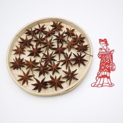 China Dried Wholesale spices  of high quality spring star anise natural dried whole Dried organic spring Star Anise spice for sale