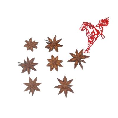 China Dried Wholesale Guangxi new seasoning star anise top Quality natural dried whole dried spice organic Star Anise for sale