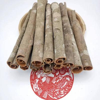 China Dried Hot sale new seasoning cinnamon natural dried whole dried new seasoning organic cassia stick cinnamon for sale