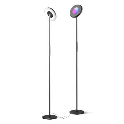 China Adjustable 12v CCT Led Remote Control Desk Multi Light Single Globe Floor Lamp Elegant Wrought Iron RGB Floor Lamp for sale