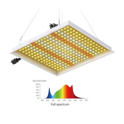 China Signcomplex Crecer Ligero Indoor Growing Indoor Hydroponic Plant Grow Led Bulb Bar 480w 720w Full Spectrum Cob Grow Light for sale