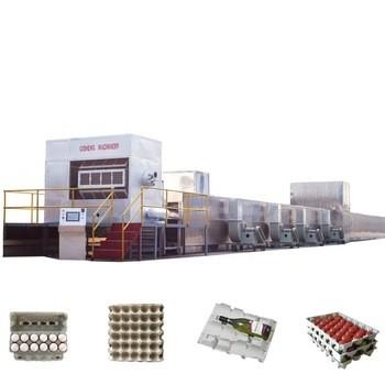 China Easy operation molded paper egg packaging egg tray making machine pulp egg tray production line for sale