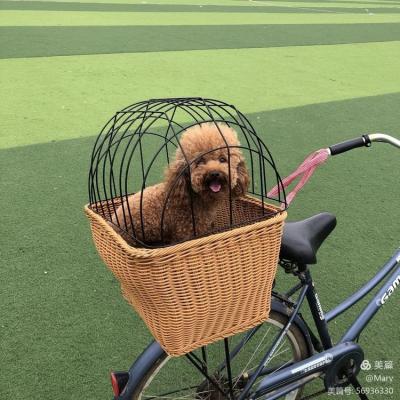 China Wholesale Durable Hot Sale Removeable .fashion Wicker Woven Basket Front Bike Bicycle Basket For Dogs Pets for sale