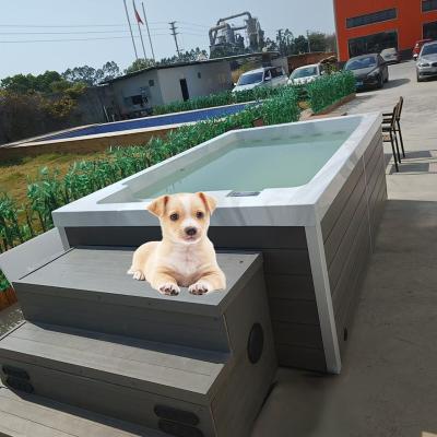 China Piscina acrílica para cães para brincar com água à venda