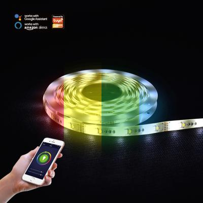 China LANDSCAPE 30pcs 5050+30pcs 2835 10m RGB LE CCT WIFI Smart LED Strip, APP+Remote+Adjustable RGB Controller Flexible LED Strip Light for sale