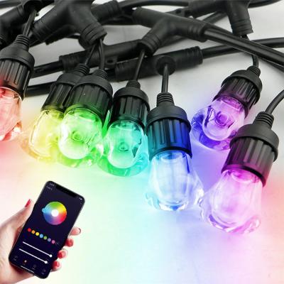 China Smart LANDSCAPE Control LED String Lights , 5C Wire PMMA Cover 12V 0.5W RGB Integrated Bulbs Christmas Lights LED Decoration String for sale