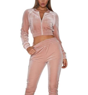 China Sustainable Women Velvet Velor Tracksuit Zip Up Crop Tops + Jogging Long Pants Sport Gym Suit Lounge Wear for sale