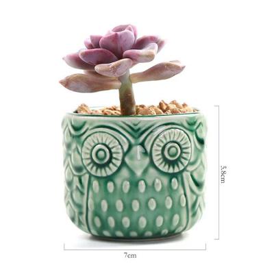 China American Cute Succulent Plants Mini Owl Shape Ceramic Flower Pots GUANHONG style for sale