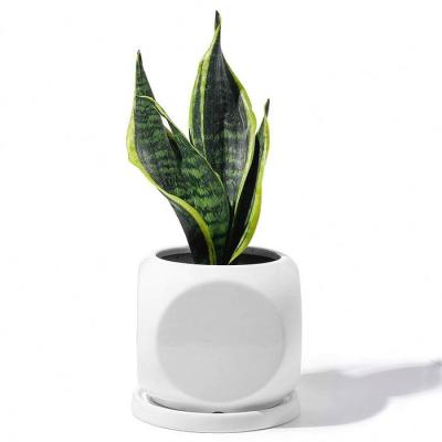 China GUANHONG Modern Custom Made Modern Glossy Ceramic Succulents Planters Indoor Square Flower Pot for sale