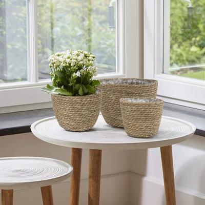 China 2021 Sustainable Hand - Woven Natural Grass Basket With Plastic Liner For Plants And Flower for sale