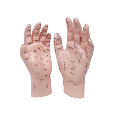 China Reflexology Meridian Acupoint teaching model medical reflex massage acupuncture hand meridian ultra clear mode for sale