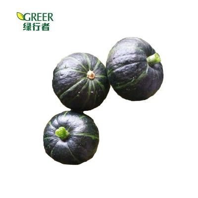 China Fresh vending pit for good quality fresh pumpkin vegetables for sale