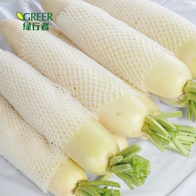 China Hot sale fresh fresh white radish vegetables for sale