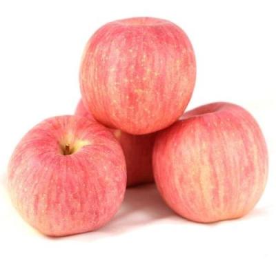 China Chinese fresh quality Fuji apples for sale