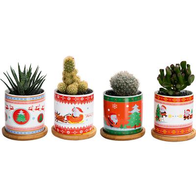 China Modern Christmas Gift Flower Pot Succulent Potted Tabletop Succulent Ornaments for sale