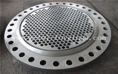 China Plate Double Stainless Steel Forged Disc Round F304L F316L F312L for sale