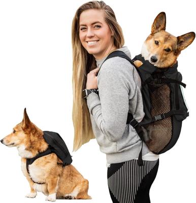 China Durable Breathable Waterproof Cloth Pet Bag Dog Backpack For Small And Medium Pets Cats And Dogs Black for sale