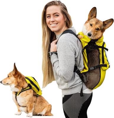 China Eco-Friendly Sustainable Cat Luggage Travel Carry Tote Dog Weekend Pet Bag Easy To Use With Bowl Pet Travel Backpack for sale