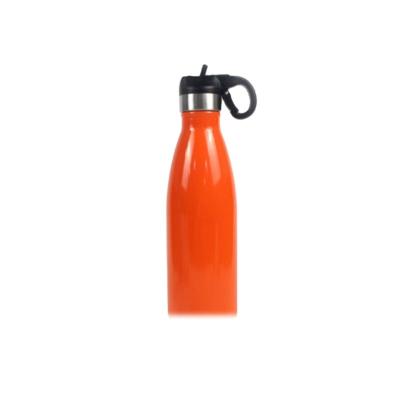 China Business Water Bottle Clip Carabiner Carrier For Camping Rise 500ml 260ml 350ml 750ml With Laser Custom Logo for sale