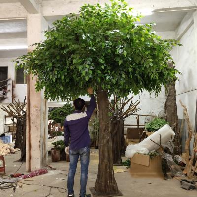 China Large Webbing Fiberglass Artificial Trees Banyan Tree For Sale Decoration Wholesale for sale