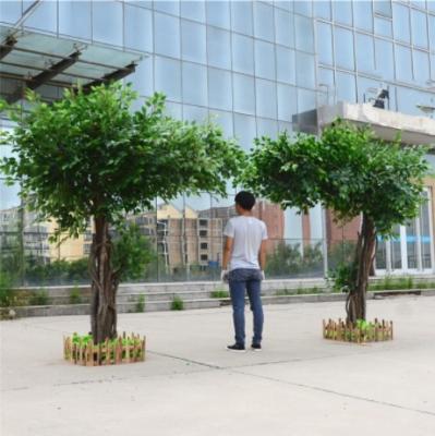 China Miniature Banyan Plant Strap Indoor Artificial Banyan Tree for sale