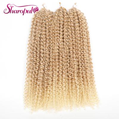 China Kinky Curly Style Crochet Braids With Marl Synthetic Hair Wholesale Price Lead 8 And 12inch Freetress Kinky Curly Braid Twist Hair Extensions 3pcs for sale