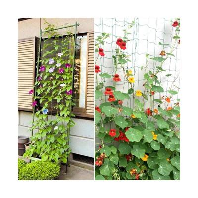 China Vegetable And Fruit Tomato Cucumber Flower Plant Climbing Net Gardening Plastic Mesh Support Net for sale