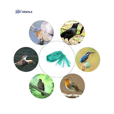 中国 Orchard/Garden/Fruit Tree Bird Mist Anti Bird Protection Net  For Catching Birds Anti Bird Net 販売のため