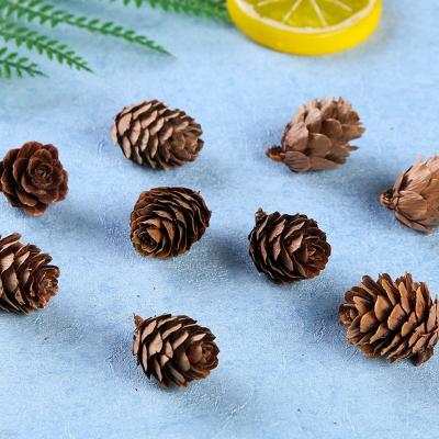 China Micro-mini Christmas Decoration Red Pine Cones Natural Pinecones Christmas Pine Cones For Thanksgiving Home Decoration for sale